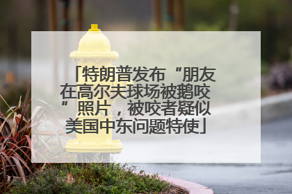 特朗普发布“朋友在高尔夫球场被鹅咬”照片，被咬者疑似美国中东问题特使